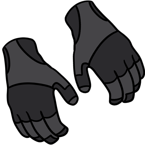 A pair of black gloves.